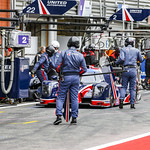 Flickr photo UA-MLMC-Spa-2022-179