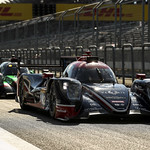 Flickr photo 22-1MDH6781