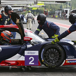 Flickr photo UA-ELMS-Spa-2022-431
