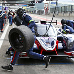 Flickr photo UA-ELMS-Spa-2022-409