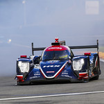 Flickr photo UA-ELMS-Spa-2022-327