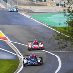 Flickr photo UA-ELMS-Spa-2022-313