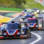 Flickr photo UA-ELMS-Spa-2022-303