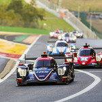 Flickr photo UA-ELMS-Spa-2022-291