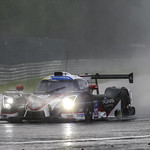 Flickr photo UA-MLMC-Spa-2022-270