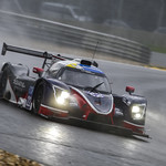 Flickr photo UA-MLMC-Spa-2022-307