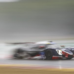 Flickr photo UA-MLMC-Spa-2022-300