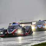 Flickr photo UA-MLMC-Spa-2022-269