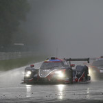 Flickr photo UA-MLMC-Spa-2022-264