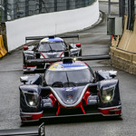 Flickr photo UA-MLMC-Spa-2022-242