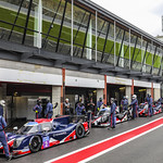 Flickr photo UA-MLMC-Spa-2022-236