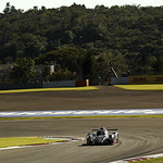 Flickr photo 23-1MDH9775 (1)