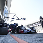 Flickr photo 23-1MDH8909