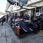 Flickr photo 22-1MDH8883