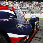 Flickr photo 22-4MDH5958