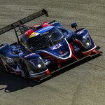 Flickr photo UA-MLMC-2022-Portimao-134