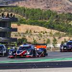 Flickr photo UA-MLMC-2022-Portimao-325