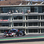 Flickr photo UA-MLMC-2022-Portimao-320