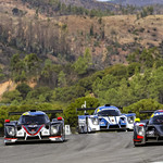 Flickr photo UA-MLMC-2022-Portimao-310