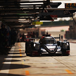 Flickr photo 22-7B1A5255