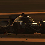 Flickr photo 23-0Q3A2964