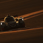 Flickr photo 23-0Q3A3356