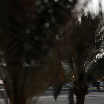 Flickr photo 22-0Q3A0518