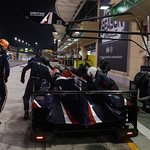 Flickr photo 23-7B1A3350