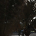 Flickr photo 22-0Q3A0498