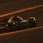 Flickr photo 22-0Q3A3343