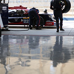 Flickr photo 22-7B1A4031