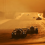 Flickr photo 23-DSC_2710