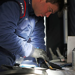 Flickr photo UA_7B1A2684