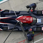 Flickr photo 22-DLPX6242