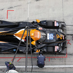 Flickr photo 23-DLPX6368