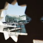 Flickr photo Yas-0Q3A2715