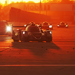 Flickr photo 22-0Q3A6985