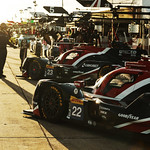 Flickr photo 22-0Q3A6651