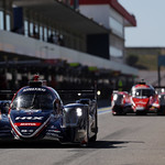 Flickr photo 23-0Q3A2442