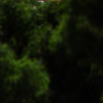 Flickr photo 23-0Q3A6056