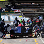 Flickr photo 22-7B1A2233