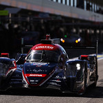 Flickr photo 22-0Q3A2675