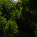 Flickr photo 22-0Q3A5968