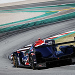 Flickr photo 22-1MDH9296