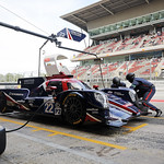 Flickr photo 22-1MDH6426