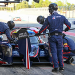 Flickr photo 22-DSC_4421