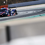 Flickr photo 22-1MDH3564