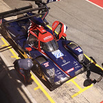 Flickr photo 22-2MDH8724