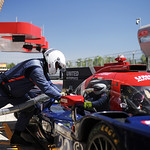 Flickr photo 22-2MDH0602