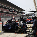 Flickr photo 22-1MDH5540